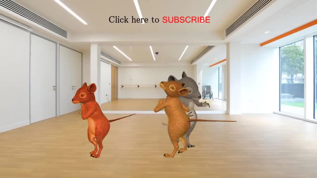 Funny rat videos| funniest ways to dancing