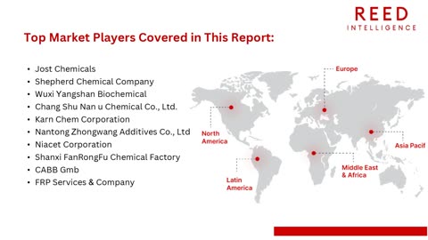 Global Acetate Salt Market Size, Share and Trends Analysis
