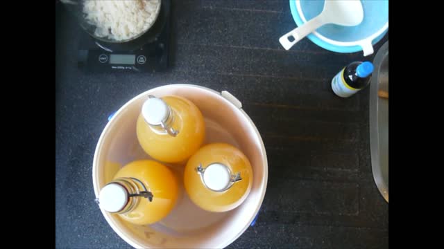 DIY Waterkefir