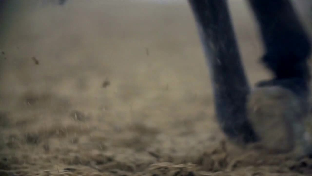 Horse Hooves Close Up Slow Motion