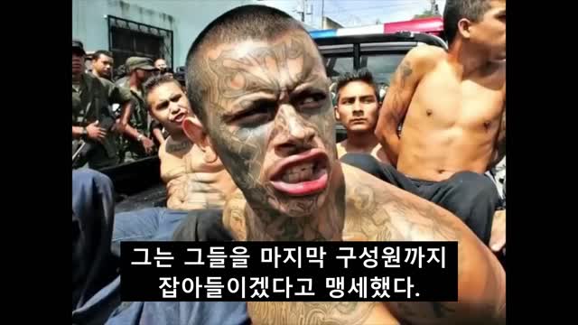 카발의 몰락 3-2부 (아이들 구하기에 나선 트럼프 대통령)