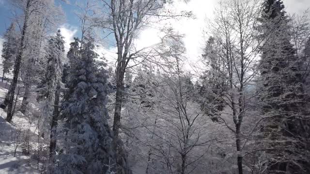 Snow scene in the forest on the cable car-nature