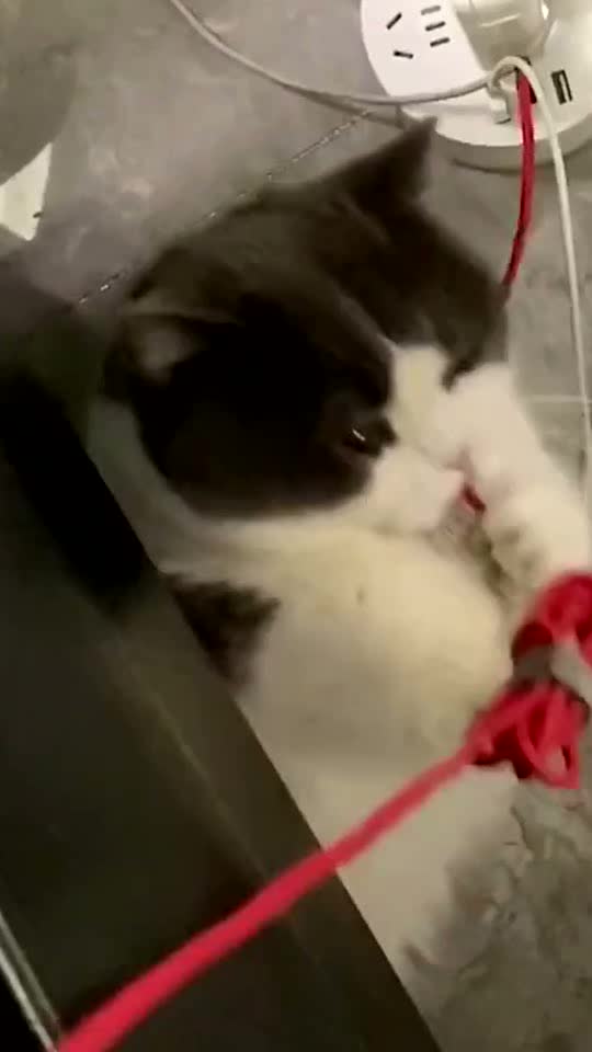 I can make it,ur,just o-n-e minute,or. ..ok maybe a moment latter