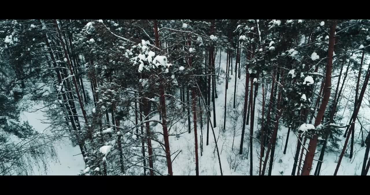 Winter nature short video l Winter cinematic short video