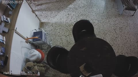 hallmid midnight 20220320