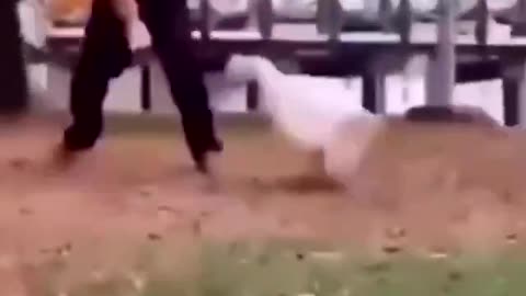 Self Defense Baby