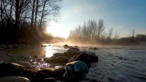 Three rapture visions and encouragement for believers...