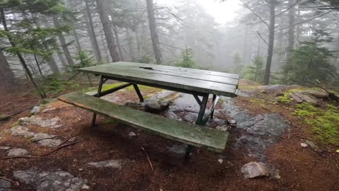 Picnic Table