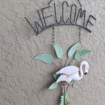 Moth that looks like a leaf