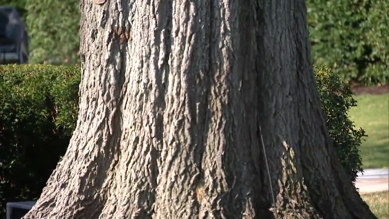 REPORTER: “Mr. President, are you worried about nuclear war?”