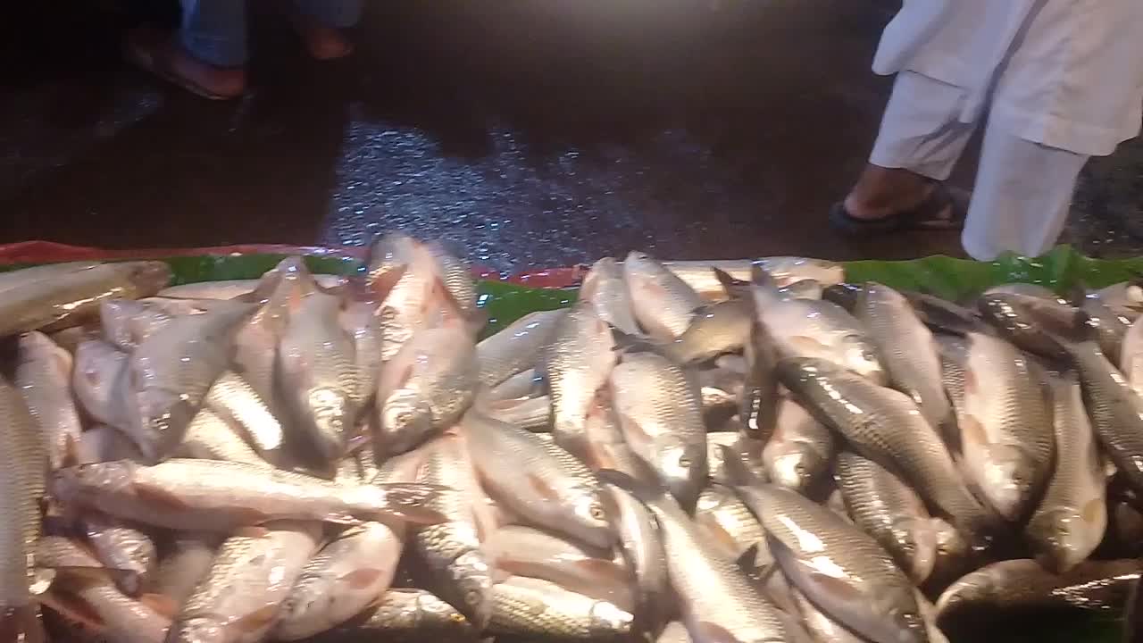 Amazing Fish Market in Bangladesh