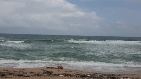 East Sea of ​​Korea