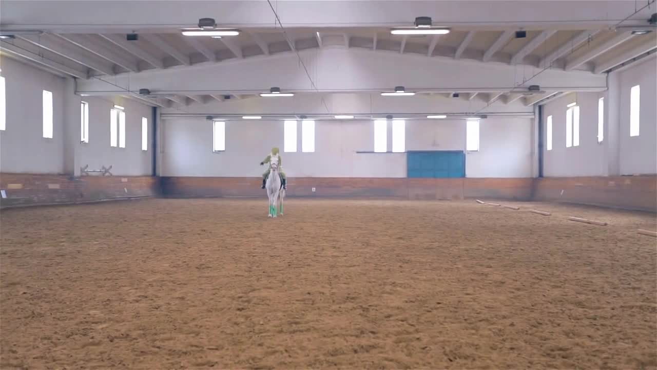 Person in Green Frog Costume Riding Horse in Big Hall