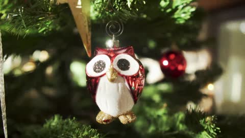 Owl ornament on Christmas tree