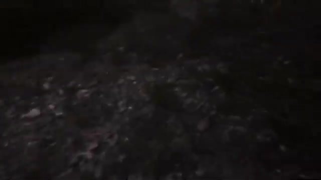 2021-10-28 - Forêt pluie et champis - Twitch