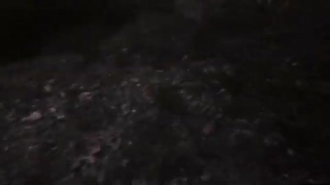 2021-10-28 - Forêt pluie et champis - Twitch