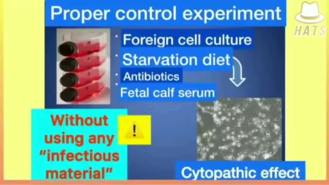 Science prove Covid-19 do not exist...