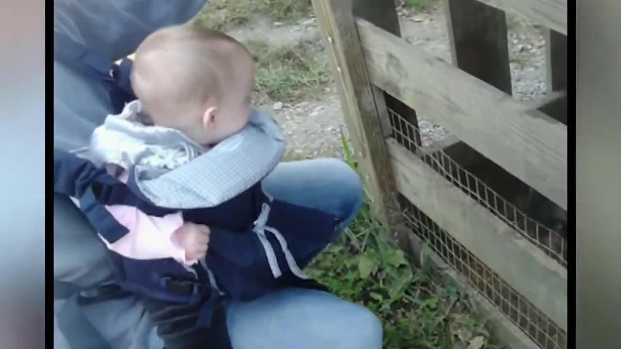 Little kids at the Zoo, funny stuff