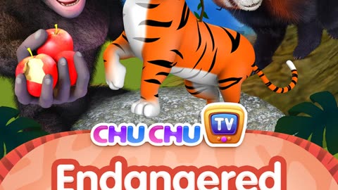 Chuchu Tv