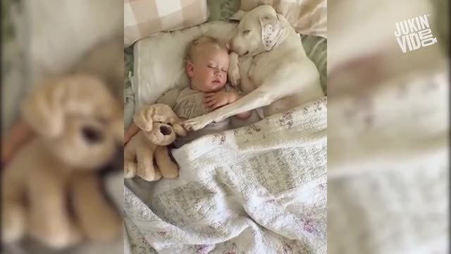 Cute Baby Playing With Dogs Compilation Baby Pets videoš„°