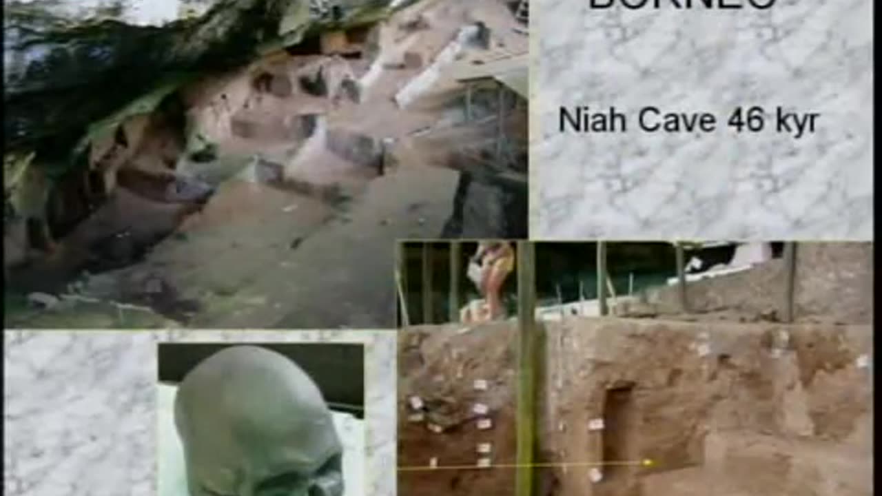 Stony Brook University - 7th Annual Human Evolution Symposium | Part 1 [Flokossama]