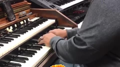 Lennard Razor on organ 2024