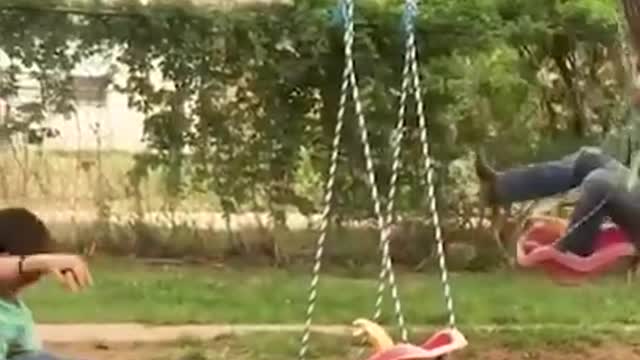 Best Funny Video Clips #shorts (73