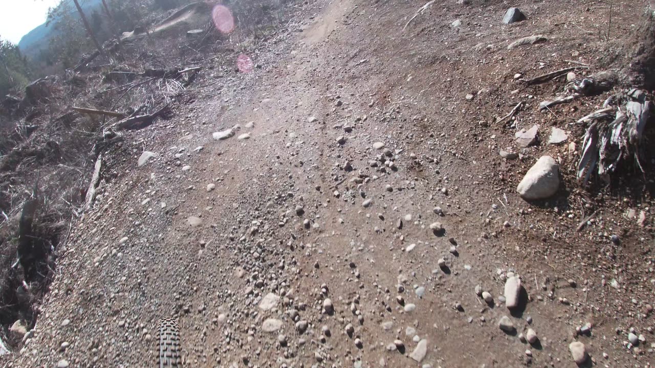 9 year old rips Atomic Dog
