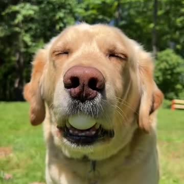 Egg Challenge Returns 😍