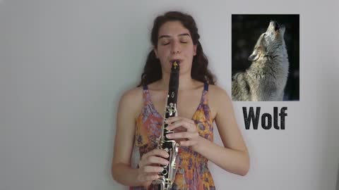Animal Sounds on Clarinet
