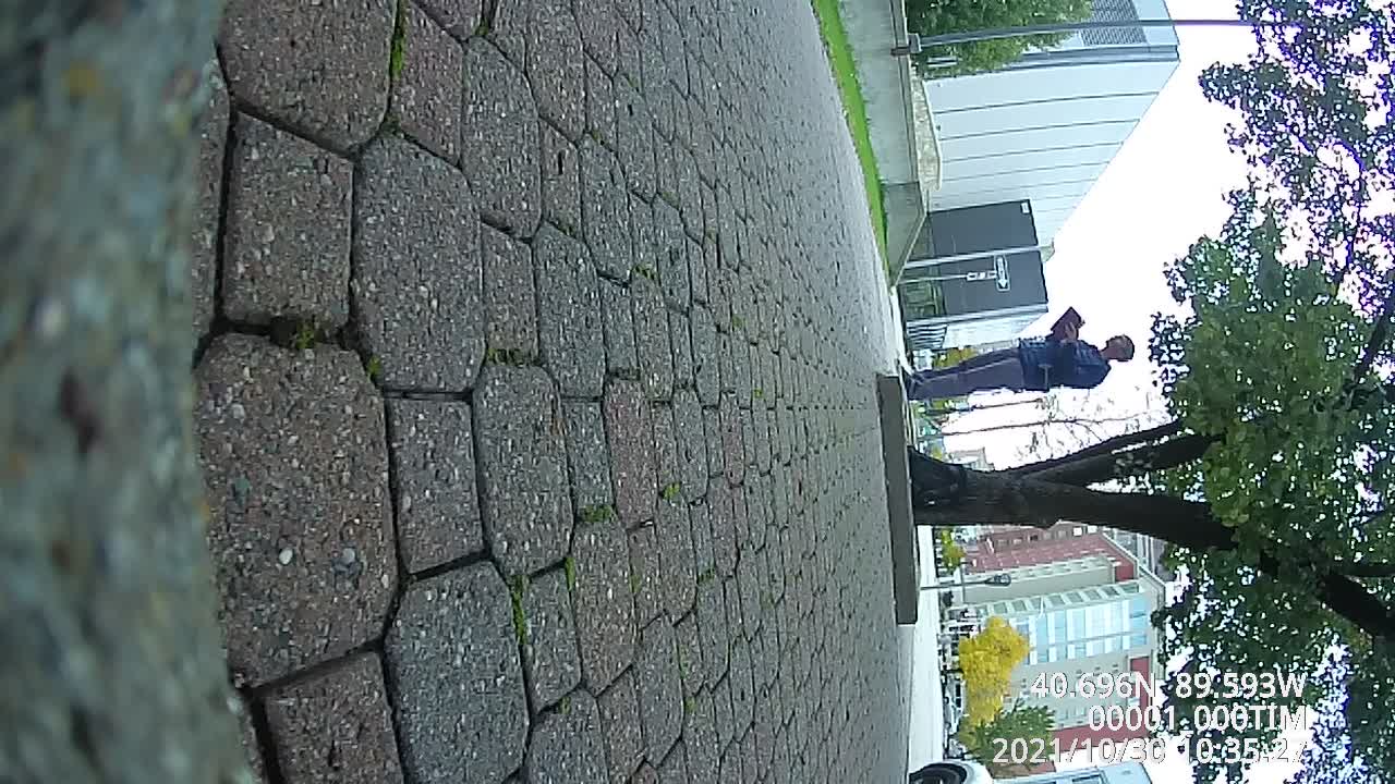 Jacob Nelson, Loaves and Fish, October 30, 2021