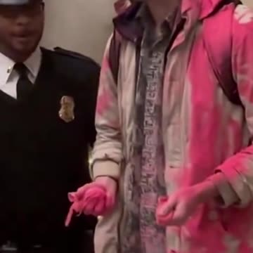 Climate activists pour pink powder on themselves and the display of the Constitution in DC