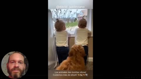 Quick Smile Clip: What a wonderful welcome. We all love Dogs, pets...