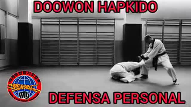 Hapkido