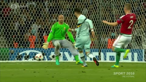 Belgie vs Maďarsko - osmifinále EURO 2016