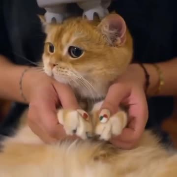 We all need this massage before going to work