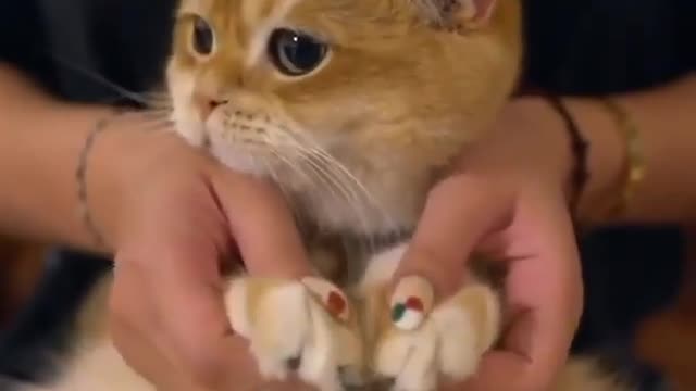 We all need this massage before going to work