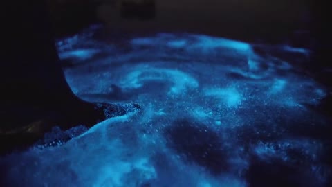 Fluorescent sea