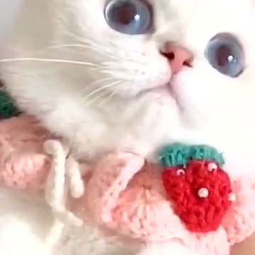 Does my strawberry dress look good?