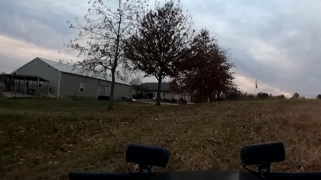 A Sick Buggy