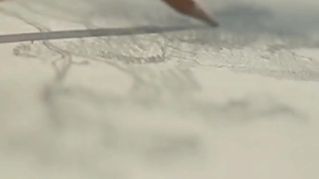 "Graphite Symphony: Mastering the Language of Pencil Strokes"|#arttechniques #blendingstumps #fact