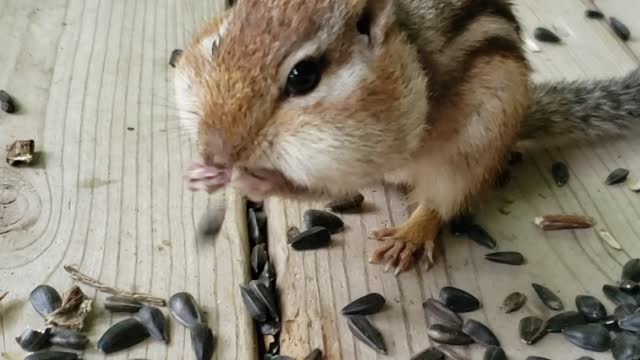 My nuts bro