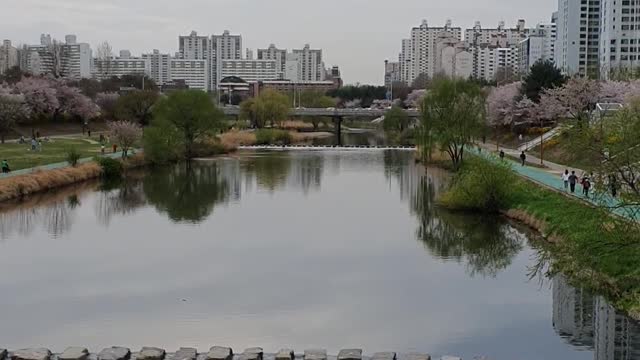 Lake in Korea