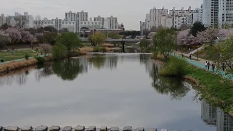 Lake in Korea