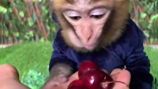 Little dude having his snack