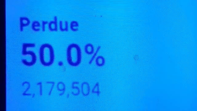 INTERNATIONAL WIDE ELECTION FRAUD VOTING MACHINE CRIME, GEORGIA RUNOFF SHAM ELECTION CRIME 197