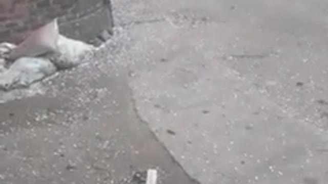 Only Stone without Rain - Stone Rain funny video