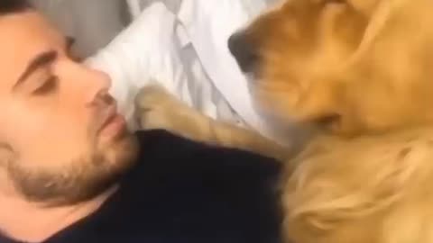 Dog with Dad