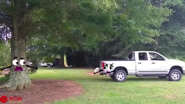 Elephant Attacks Car, scary