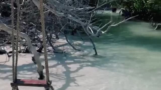 If you could only do one thing in the Florida Keys